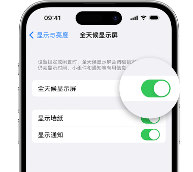 文山苹果15预约维修分享iPhone15如何设置全天候显示屏幕可见 